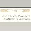 user5905163536266