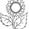 aagull98