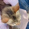 imray_05