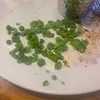 minceandtatties0