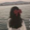 syedaisra04