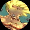 g.s.db