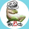 මැඩියා