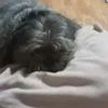 ..ehh0