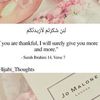 lotfi.hajji0