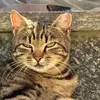 ericampi91221