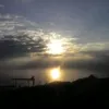 ivanao79