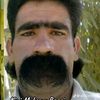hardin_aja