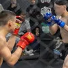 dzenannikontovic66