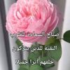 theq10630