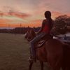 jasmine._equine