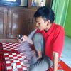 yanuaar2