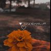 fatma_qtr1