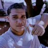 almdzs_1