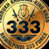 zafarmasood686
