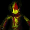 dyzfbopflve5