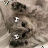 vikaa_r0mashkaa_