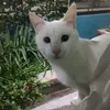 spookeezz