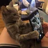 .amorhu