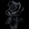 blacklover143love