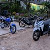 wijayakusuma.16