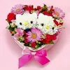 thanhsangcb