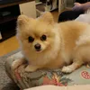tnerty_k