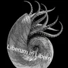 liberum.in.libero