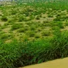 jawadrahimoonsjp