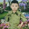 yanzz3179