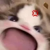 phuongnhi19