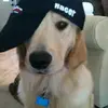 kokoraaaa