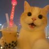 puputt__22