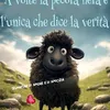 pietrovale31