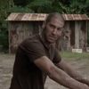 shanewalsh242