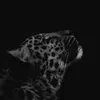 _m2.m13_