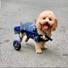 Henry from China