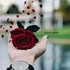 salwamahmoud6127