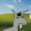 _socbel