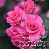 ilyasmuhammadkhan7