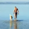 pavluxek