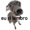 felipesuquinho