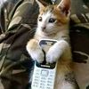 samirsamir9073