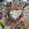 alasmary10