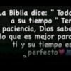 miamovida2