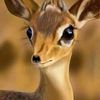 saidsouf56
