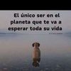 elizabethperez2224