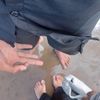 zhdan._