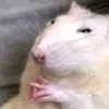 ngu_o_bai_cuttrau