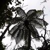 nznaturewalks